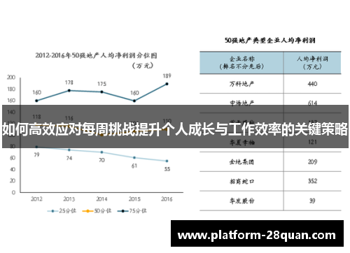 如何高效应对每周挑战提升个人成长与工作效率的关键策略