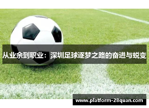 从业余到职业：深圳足球逐梦之路的奋进与蜕变