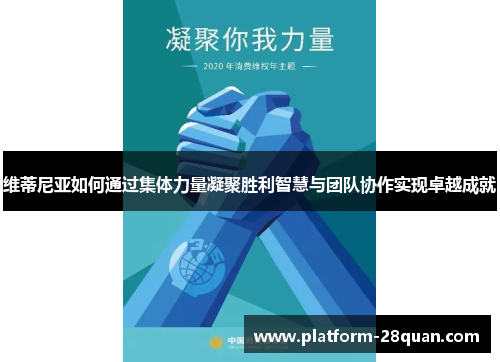 维蒂尼亚如何通过集体力量凝聚胜利智慧与团队协作实现卓越成就