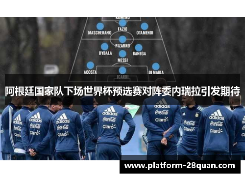阿根廷国家队下场世界杯预选赛对阵委内瑞拉引发期待 阿根廷国家队下场世界杯预选赛对阵委内瑞拉引发期待