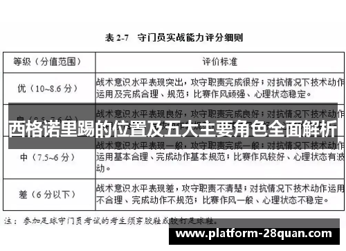西格诺里踢的位置及五大主要角色全面解析